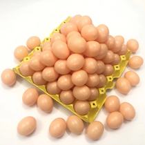 Childrens simulation fake egg toy egg DIY painted egg kindergarten teaching aids