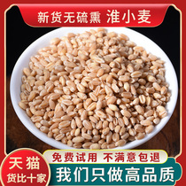  New goods Guichen sulfur-free Huai wheat 500g g Ganmai jujube soup Henan Huai Wheat Tea Chinese herbal medicine