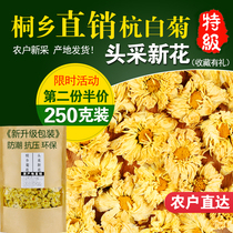 Chrysanthemum tea Authentic Hangzhou white chrysanthemum Tongxiang origin premium chrysanthemum tea flowers bulk white chrysanthemum 250g tea leaves