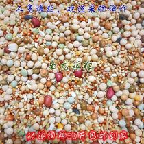 Xiaolong young pigeons Corn-free pigeon food Race pigeons carrier pigeon feed special food 50 pounds