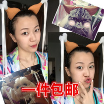 Happy Camp Zhang Hanyun Little Dragon Girl with the same chicken leg head aunt hair hoop ribbon headdress pet cat and dog headdress