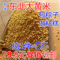 5 pounds of 2020 Northeast rhubarb rice self-produced sticky yellow rice bag dumplings Rice glutinous rice sticky rice sticky bean bag rice cake