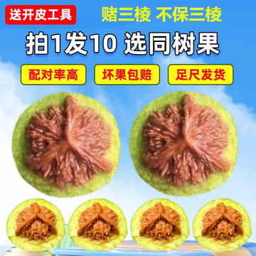 三棱核桃 盘山三棱配对核桃-盘山三棱配对核桃促销价格、盘山三棱配对核桃品牌- 淘宝