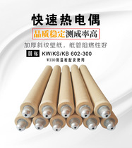 Fast thermocouple KW602 casting smelting temperature measuring thermocouple W330 fast temperature measuring thermocouple