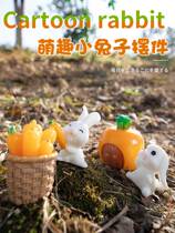 Micro landscape decorations little rabbit Japanese healing small gift fleshy bonsai cute girl desktop ornaments gift