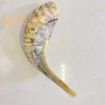 Israel Boutique Goat Horns Horn Memorabilia Biblical Judaism Gift Pendulum Spot