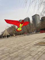 Shenyang tailor Liu Xin product breeze carbon Eagle tailor Liu Eagle Kite breeze kite