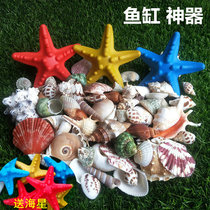 Natural shell coral home snail simulation starfish tank landscaping platform wall stickers home decoration conch ornaments