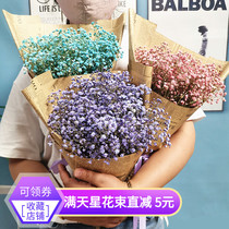 Packaging dried flower bouquet Natural starry bouquet Yunnan air-dried forget-me-not true flower graduation shooting decoration ornaments