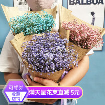 Packaging dried flower bouquet Natural starry bouquet Yunnan air-dried forget-me-not true flower graduation shooting decoration ornaments