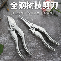 Stainless steel gardening scissors pruning shears Fruit tree pruning special scissors branch pruning tools flower repairing artifact