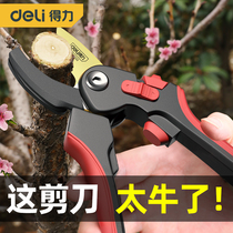 得力园艺剪刀修枝剪果树修枝剪枝树枝剪刀花剪园林专用修花卉剪子