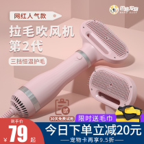 Pet hair dryer hair pulling one teddy dog hair blowing artifact bath drying small dog cat hair combing special