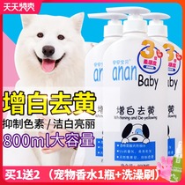  Dog shower gel white hair special Samoyer Bixiong Bomei puppies whitening to yellow and tear stains Bathing and hair supplies