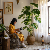 Shuhan flower leaves monstera simulation green plant potted large indoor window floor bionic plant tree decoration ornaments