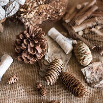 Juhan forest gift fruit decoration DIY pine cone pine cone branch cinnamon ZAKKA props
