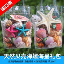 Shell crafts natural shells conch ornaments starfish handmade diy fish tank aquarium platform landscaping children