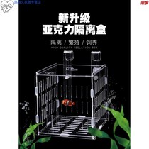 Fish tank fighting fish isolation box acrylic external isolation net separation box protection small fish breeding incubator box suction cup