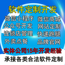 Program development software custom development custom management system ERP OA Service CS architecture code writing