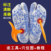 Plantar reflexology Acupoint Socks Pedicure Reflex Zone Socks Wellness Socks Massage Socks Healthcare Socks Foot Point Socks