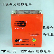 Jialing JH600 motorcycle special colloid maintenance-free battery battery YB14L-BS 12V14AH Special