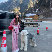 DoggyQin miu set 2022 new hooded short jacket sag slim velvet casual pants two-piece set