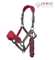 British LeMieux bridle