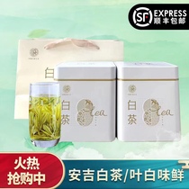 Anji White Tea Spring Tea 2021 New Tea Green Tea Head Sprout Bulk Authentic Gift Boxed Premium 250g