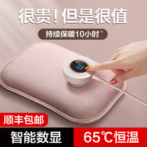 Electric hot water bag rechargeable female hand warmer cute plush warm feet warm baby explosion proof warm water bag apply belly one