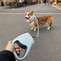 Dog traction rope Automatic flex Luminous walking dog Rope Large Dog Medium Small Dog Gold Mautedi Kirky Dog Chain