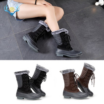 Buffie Waterproof Snow Boots Foreign Trade Public Edition No Standard Warm Comfortable Shoes Shell Boots Lace Plus Cashmere Cotton Shoes