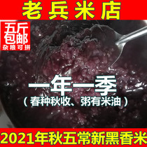 Veteran rice store New northeast Heilongjiang Wuchang authentic farmhouse black rice brown rice 500g vacuum eight treasure porridge Miscellaneous grain rice