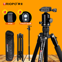 Jiebao F91 SLR camera tripod Micro single photography camera portable aluminum tripod Mobile phone bracket