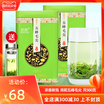 Mingran 2021 new tea Wufeng tea Maojian green tea bulk spring tea strong flavor fried green cloud fog Tea 500g canned