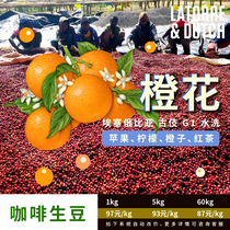 Coffee beans 2021 season 11 yue batch times Ethiopia ancient ji G1 Neroli uraga washing 1kg