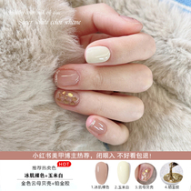 Ice Creme Nude Pink Net Red Nail Polish Gel 2022 New Ice-Through Mica Pop Color Suit Small Set Of Medecine Shop