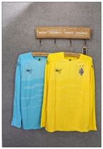 Channel Bundesliga Leopard Puma Mens Football Quick Dry Sports Training Competition Long Sleeve Top TPU21085