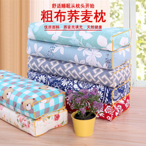 Printed Coarse Cloth Pillow Sleep Pillow Square Pillow Buckwheat Pillow Cervical Spine Pillow Repair Single Double Neck Buckwheat Leather Pillow Inner