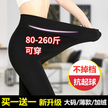 Underpants ladiesthin spring autumn season  outside wearing gats up extra-size 200 catty mm plus suede not able to ball 90% pants