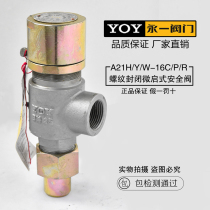 A21H F Y W F53-16 25 40 64 100 160C P R thread spring micro lift safety valve
