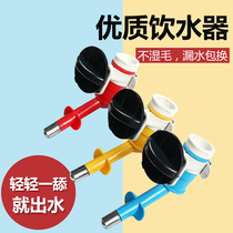 Pet drinking fountain dog cat rabbit Teddy hanging water device not wet mouth hanging automatic drinking water fountain head