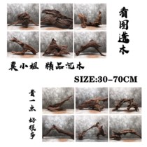 (Miss Mo) 30-60cm fine sunken wood fish tank landscaping decoration turtle drying table special shaped South American tank purple pomelo