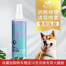 Dog-inducing agent dog bowels training dogs on the toilet urinating to induce pet targeted guidance defecation into the toilet