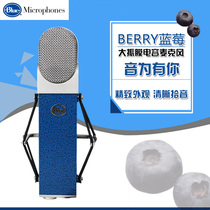 Blue BLUEBERRY Blueberry recording studio special large shock film condenser microphone microphone spot