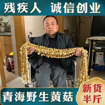 Qinghai specialty Qilian Mountain wild king mushroom yellow mushroom small yellow mushroom dry goods nail mushroom soup shiitake mushroom gift box