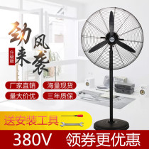 Commercial workshop industrial factory electric fan high power three-phase 380V floor wall hanging Horn fan all copper motor 750