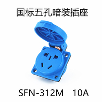 SFN312 multifunction European style new national standard 5-hole SFE rain-proof 16A with cover socket IP54 single-phase 220V