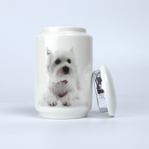 Photo Custom high-definition kitty pooch Pet Bone Ash Box Animal Remembrance Tank Moistureproof Tin Paper Mouth Sealed Ceramics