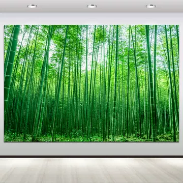 竹林风景挂画-竹林风景挂画促销价格、竹林风景挂画品牌- 淘宝
