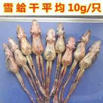 Dried snow clams Whole Changbai Mountain specialty forest frog dried snow clams oil-footed dried toad dried new goods